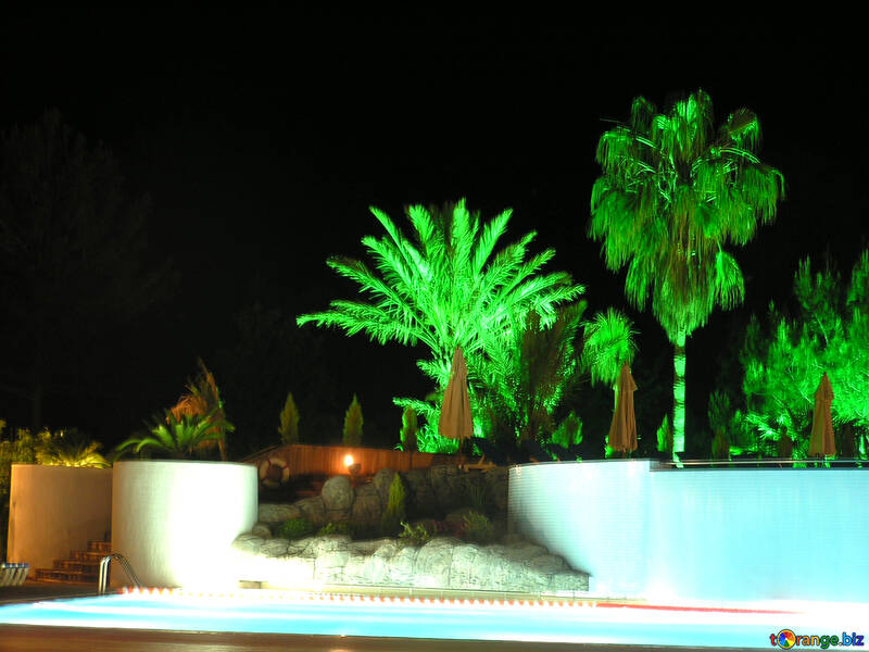 Palm trees by the pool at night №21112