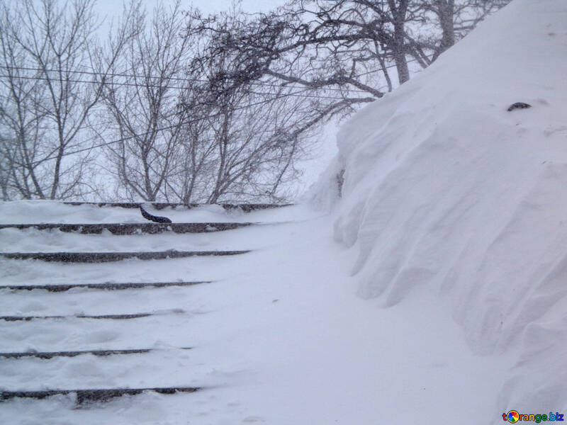 Treppen mit Schnee bedeckt №21573