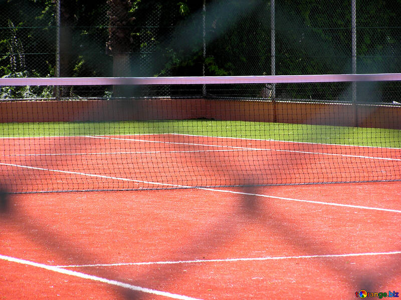 Tennis №21708