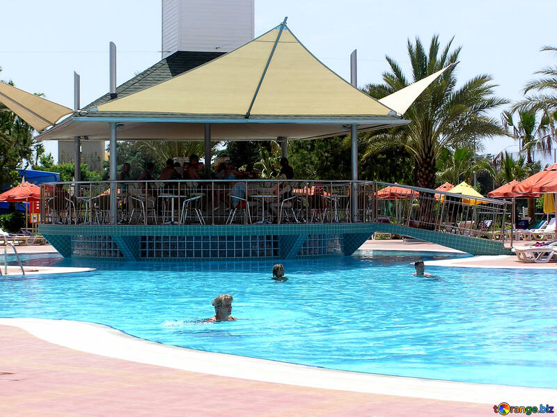 La gente nada en la piscina en el verano №21709