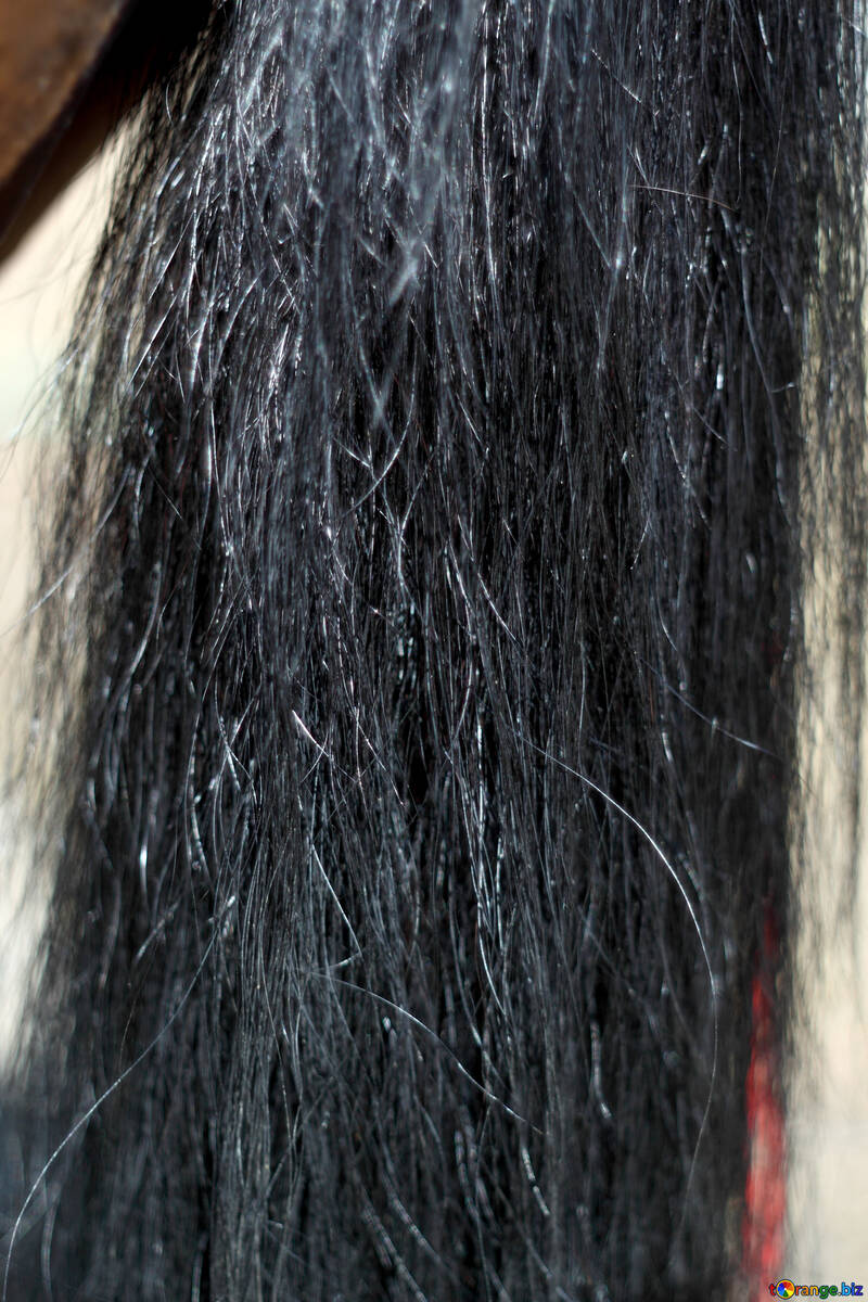 Кінський волос №21885