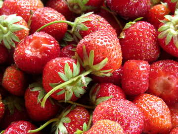Garden strawberries №22389