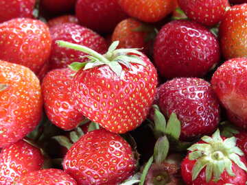 Saftige Erdbeeren