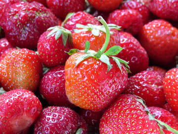 Reife Erdbeeren №22380