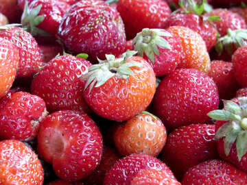 Reife Erdbeeren №22384