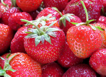 Strawberries №22379