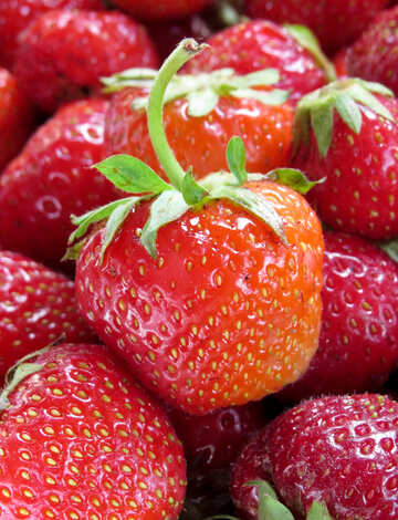 Strawberries №22381