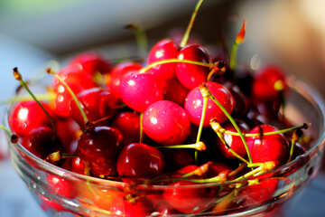 Red cherries №22203