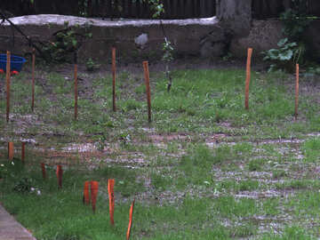 La lluvia en el jardín №22316