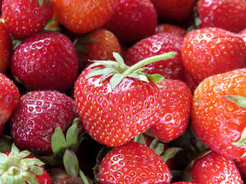 Macro fraise №22383