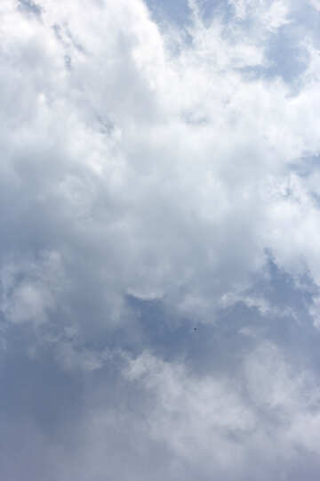 Sky with clouds №22698