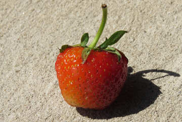 Strawberry №22372