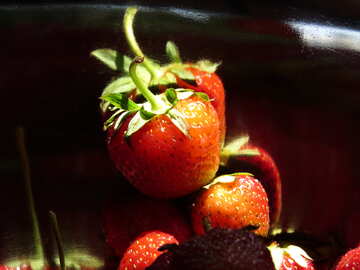 Strawberry №22375