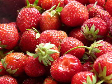 Strawberry Diet №22387