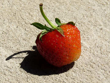 One strawberry №22373