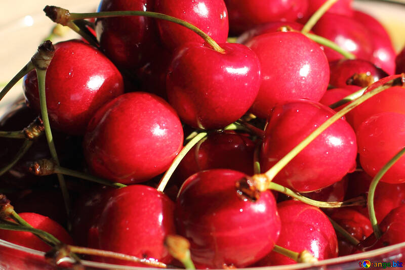 Ripe cherries №22195