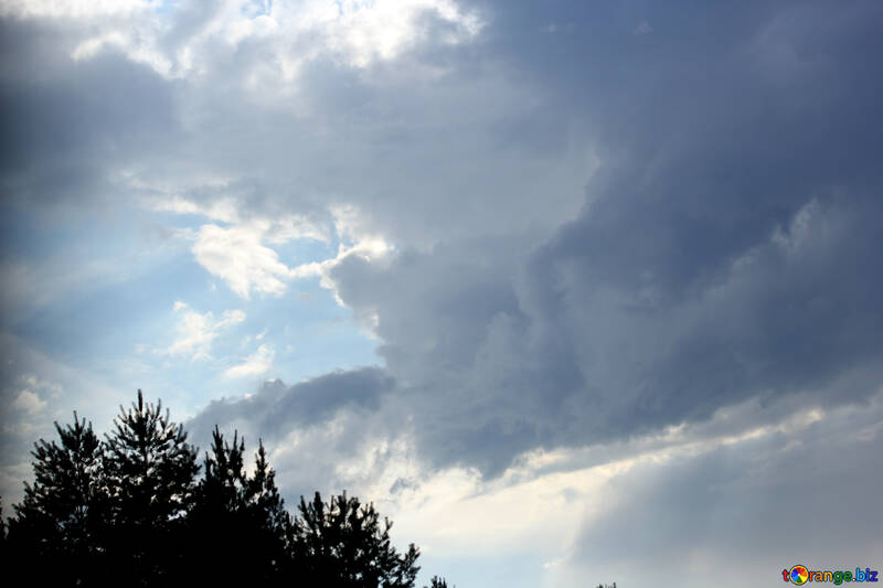 As nuvens estão se reunindo sobre floresta №22664