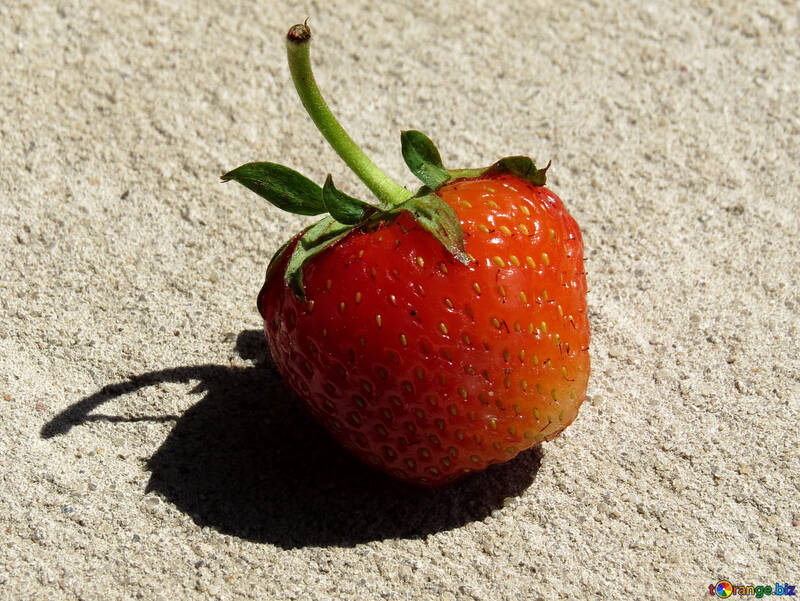 Une fraise №22373