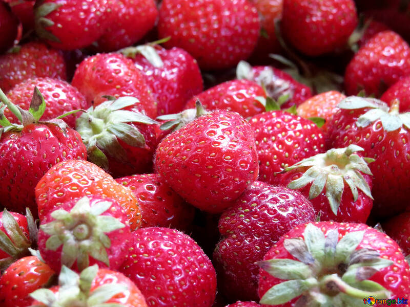 The strawberry season №22385