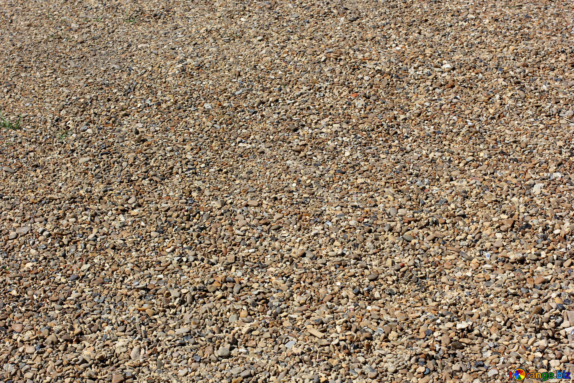 土地のテクスチャ 無料の写真 テクスチャの粗い砂 無料の写真 エコロジー Torange Biz