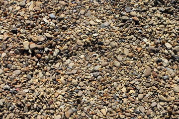 Texture of pebbles №23646