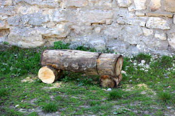 A bench of logs №23765