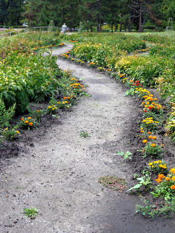 The track in the flower garden №23418