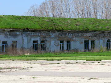 The roof is covered with grass №23544