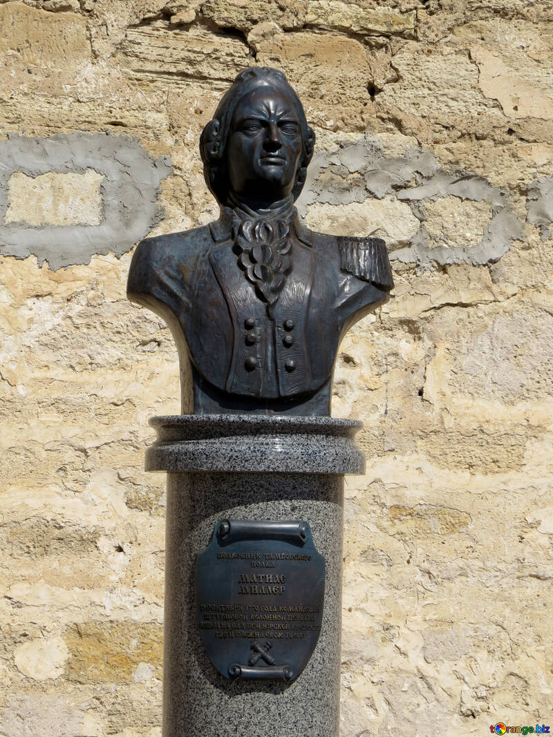 Bust capitaine №23598