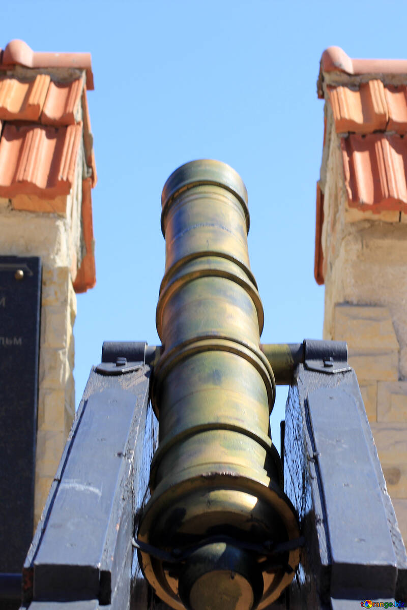 Cannone nella fortezza №23696