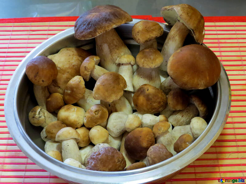 White mushrooms №23086