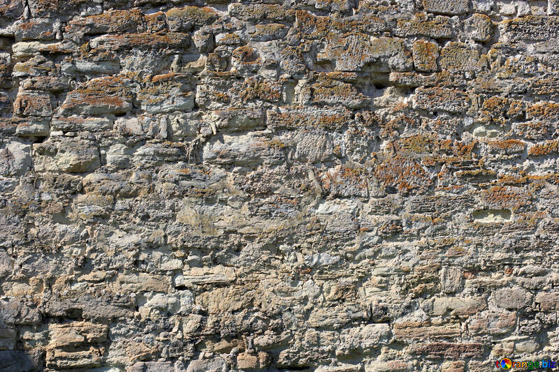 Un vecchio muro di pietra №23682