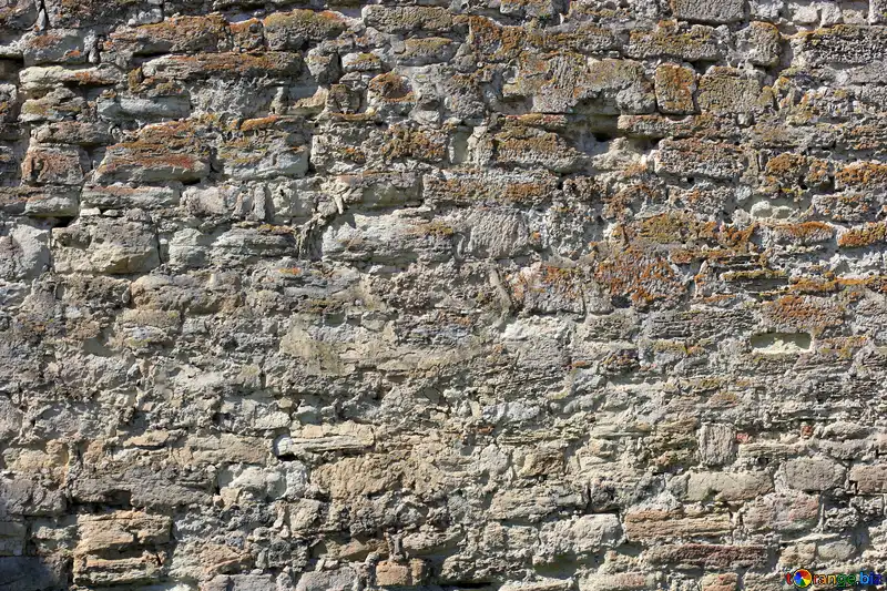 Muro De Pedra Branca E Escalador Verde Imagem de Stock - Imagem de velho,  rocha: 178236851