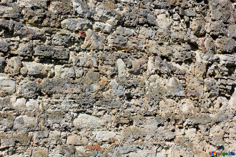Texture of old wall №23793