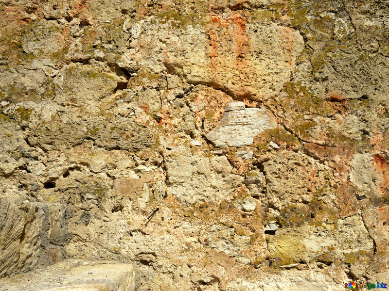 Старовинна внутрішня стіна №23638