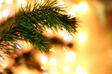 Фон на десктоп ветка рождественской елки №24593
