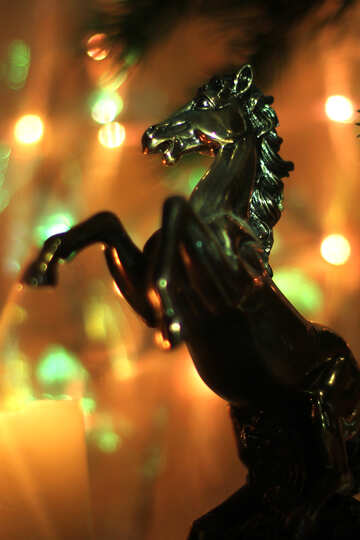 Congratulations to the new year 2014 year of the horse №24581