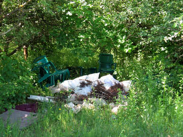 Rubbish in the forest №24697