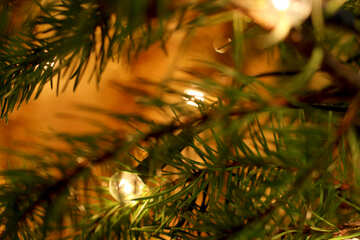 Light bulb on the Christmas tree