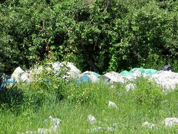 Dump garbage in the woods №24700
