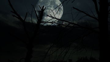 Paysage sombre sur Halloween №24227