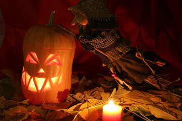 Picture of witch on Halloween pumpkin №24332