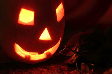 Light pumpkin on Halloween №24297