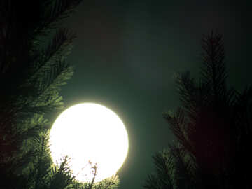 Luna brillante redondo grande №24187