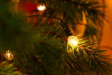 Garland en árbol de Navidad №24561