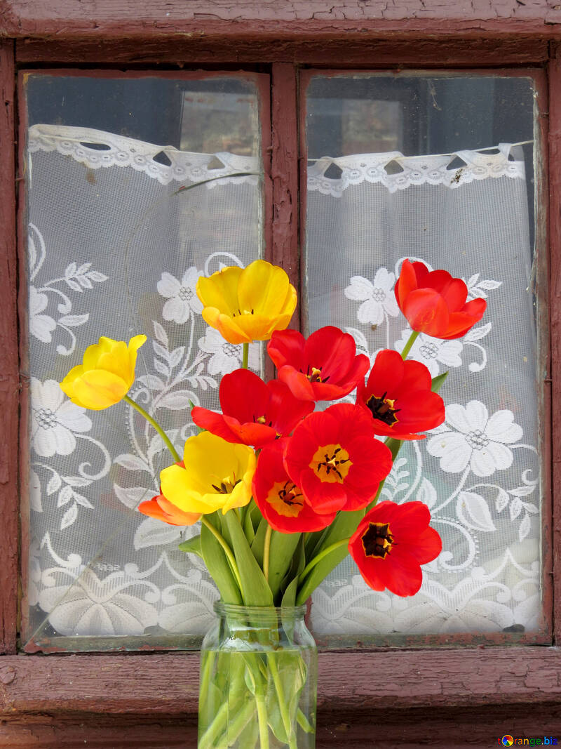 Ramo de tulipanes en la mesa №24151