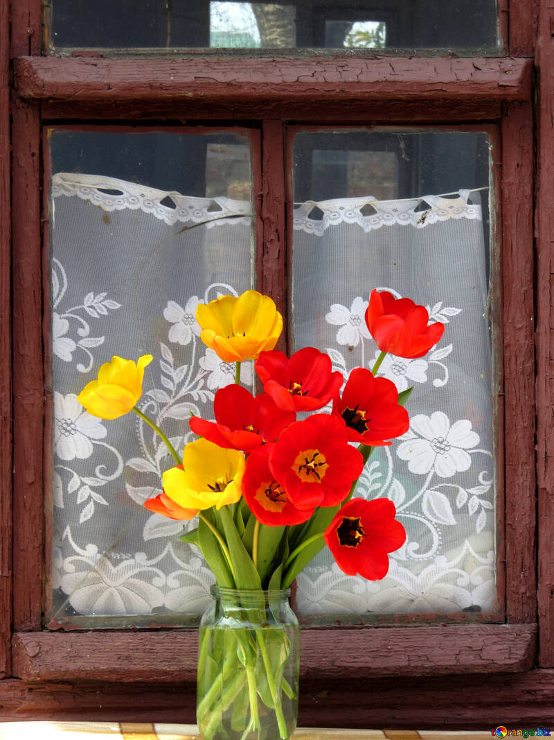 Bouquet of tulips on the window №24157