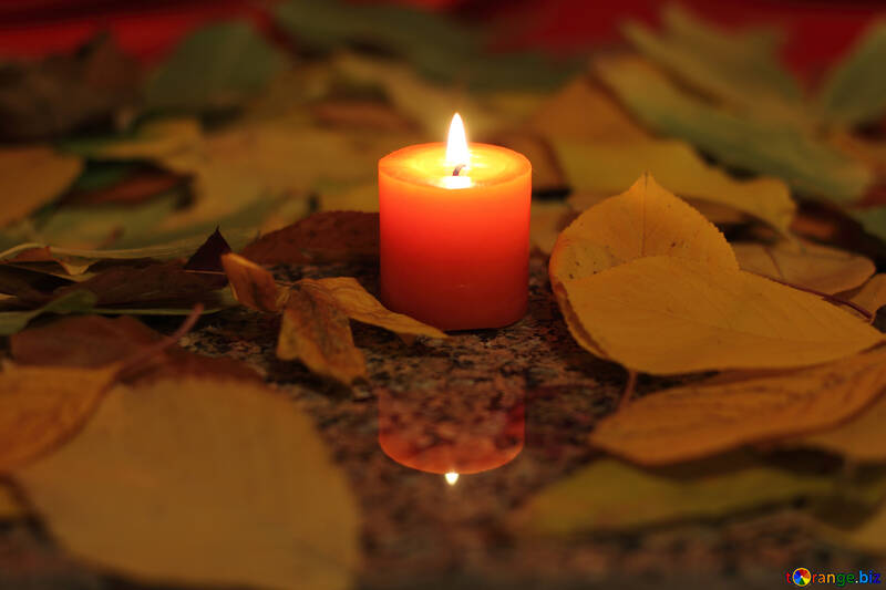 Autumn Candle №24251