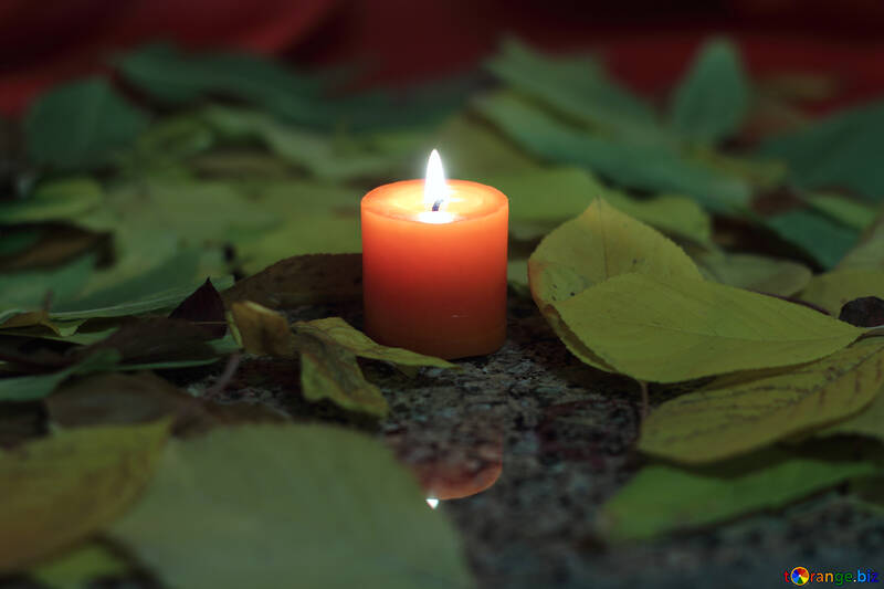 Candle in the leaves №24253