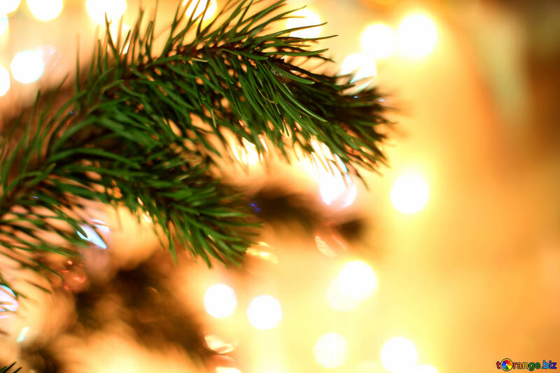 Hintergrund auf dem desktop Christmas Tree-Zweig №24593